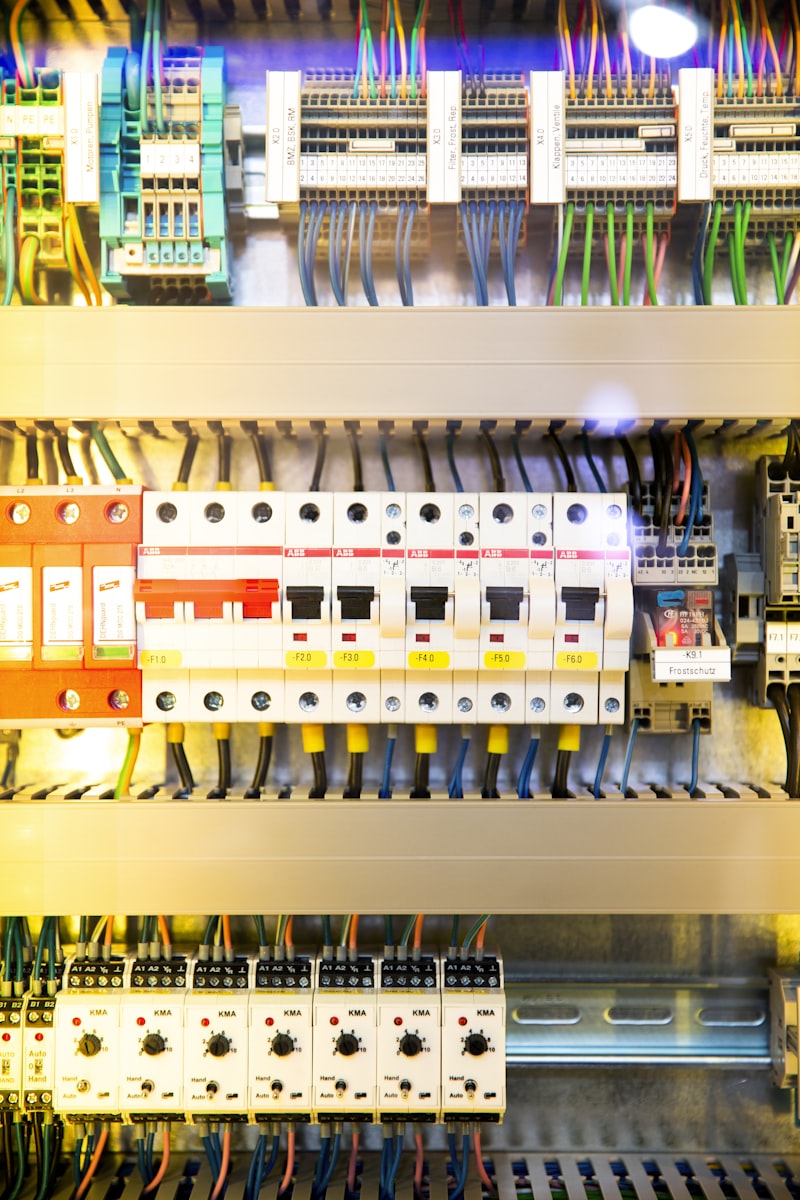 Régulateur électronique de vitesse